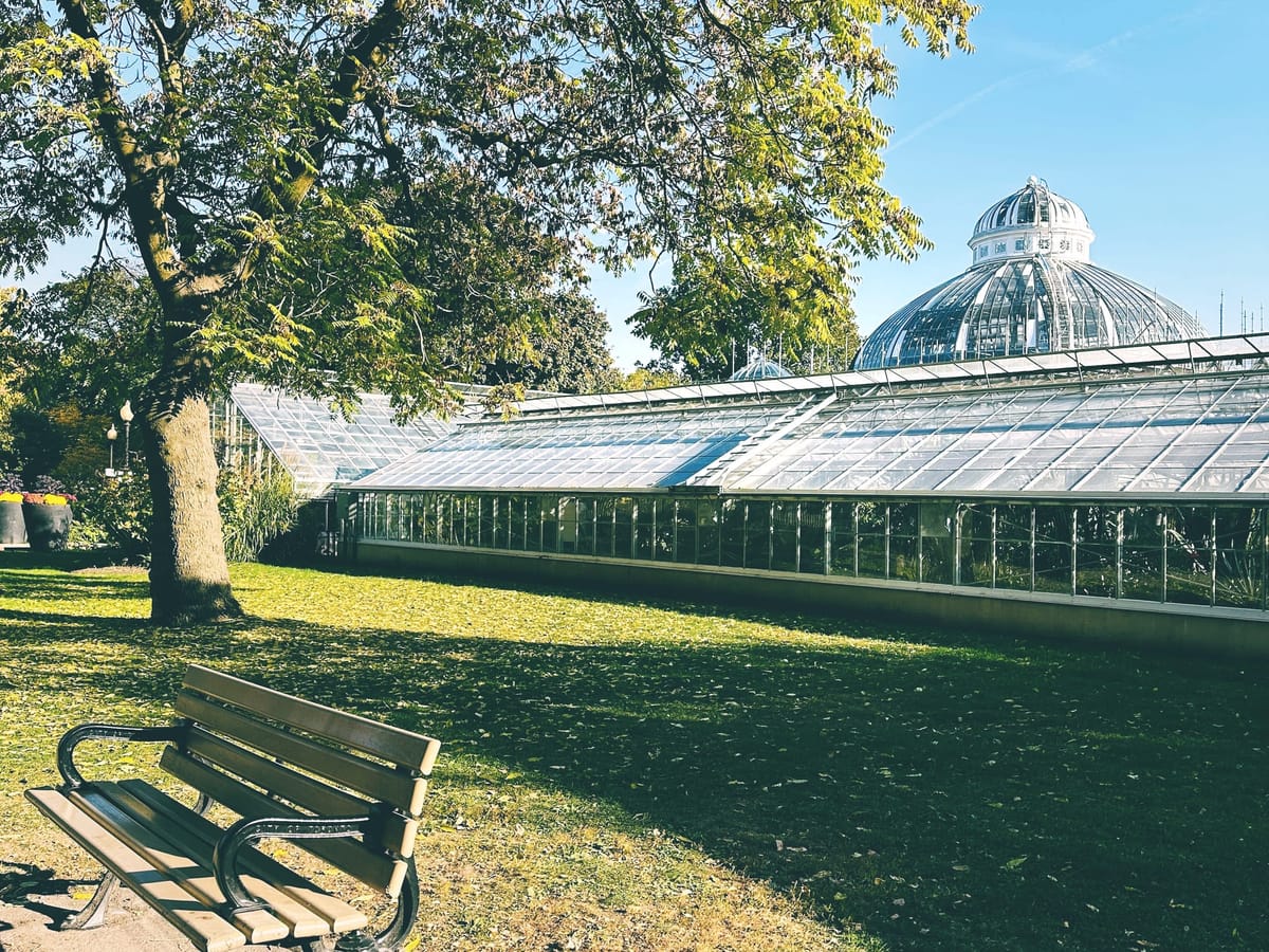 October 23: Allan Gardens Conservatory