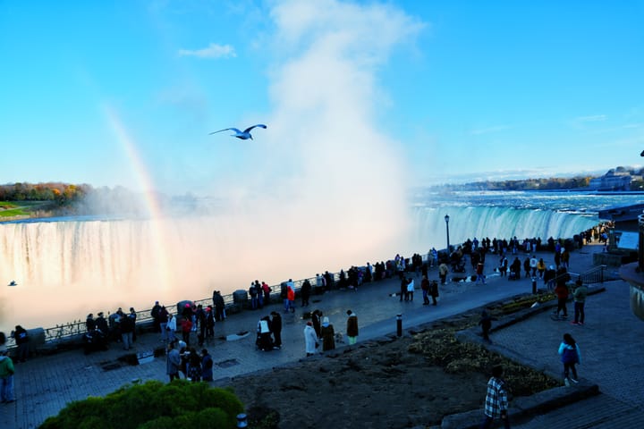 November 3: Butterfly Conservatory, Niagara Falls, and Loblaw Supermarket